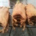 环江香猪的本地加工方法