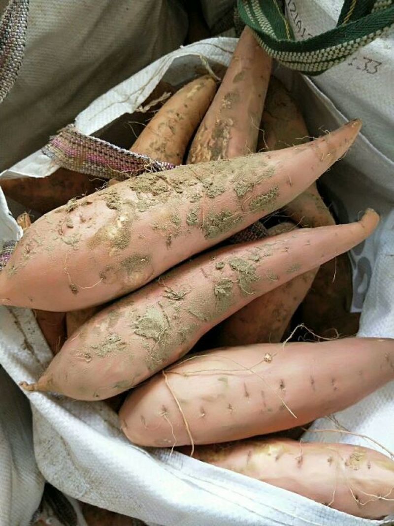 烟蜜薯红皮红心，一手货源全国发货，物流整车，价格合理！