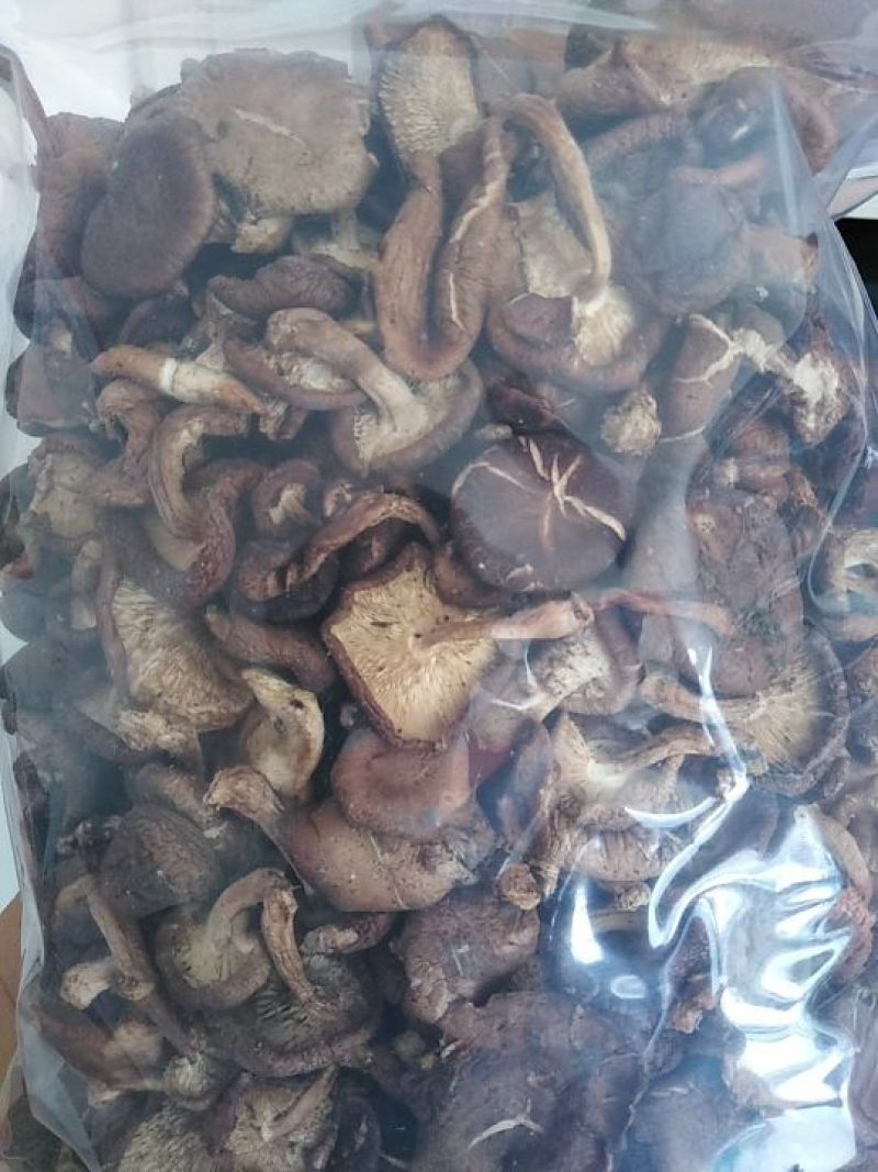 云南纯野生栎树香菇（野生小香菇）