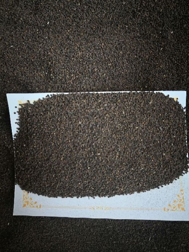 白花菜子广东河北1公斤起批无硫无添加不包邮只做正品