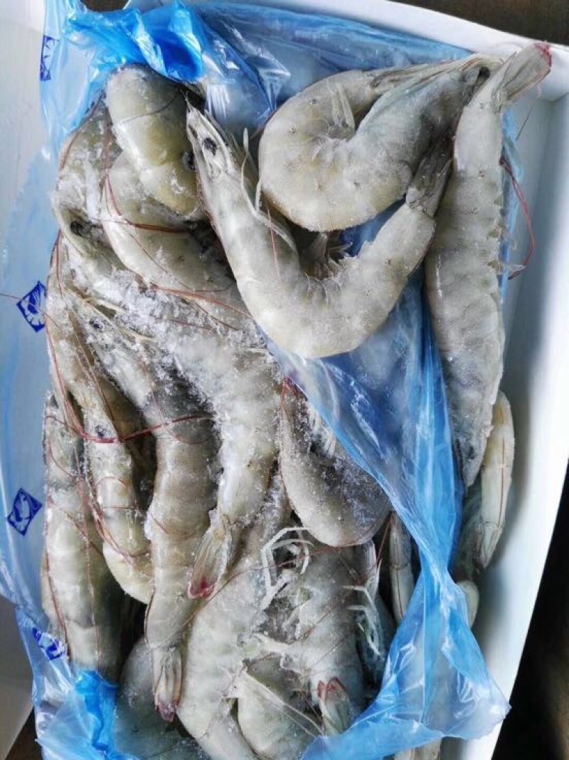 对虾冻虾