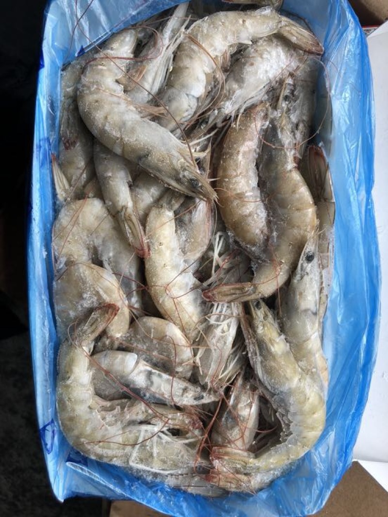 对虾冻虾