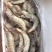 对虾冻虾