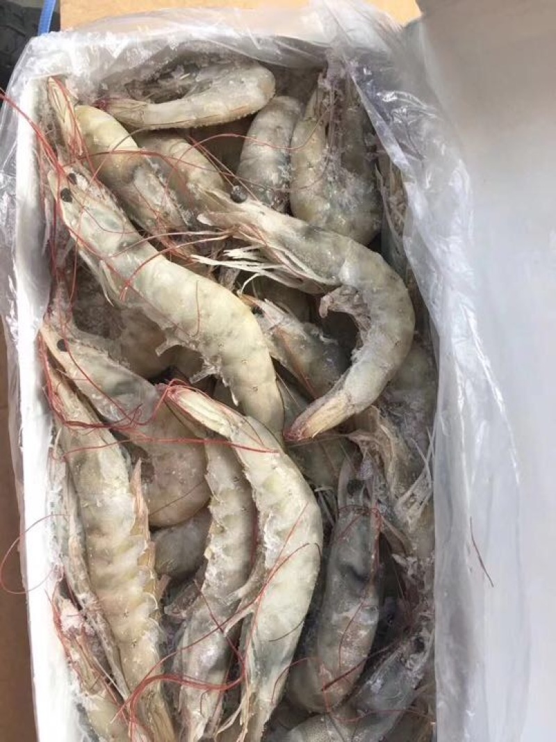 对虾冻虾