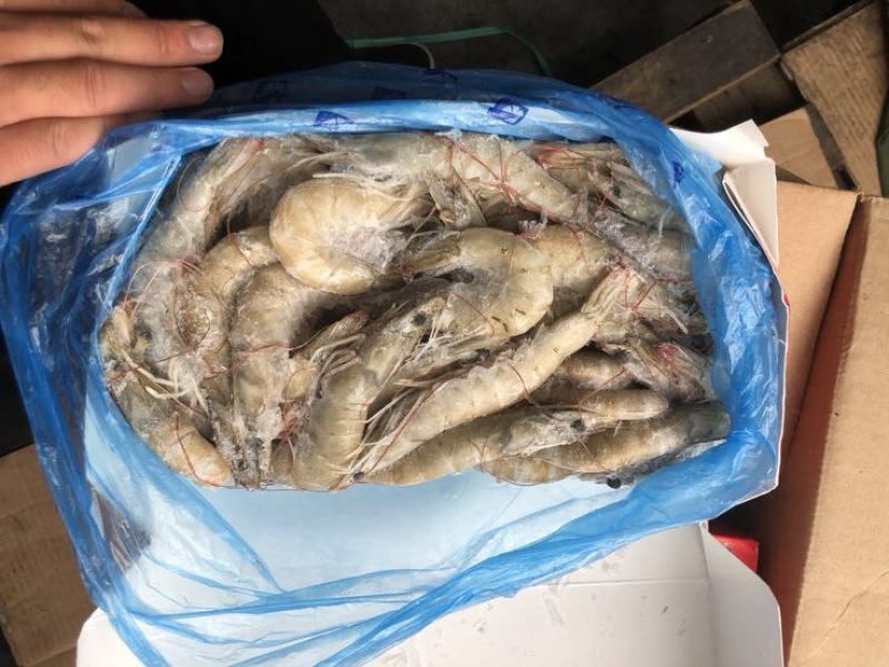 对虾冻虾