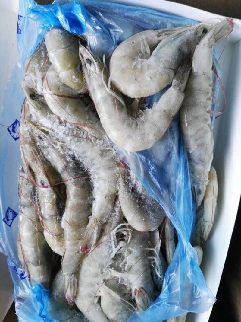 对虾冻虾