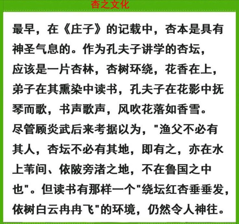 凯特杏苗大甜杏金太阳大红杏现场直销，快递保湿发货