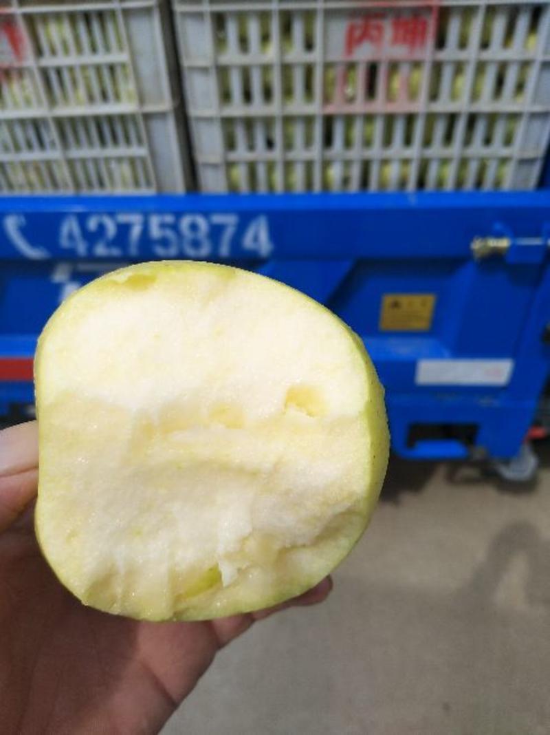 膜袋金帅苹果大量上市！产地直供质优价廉！