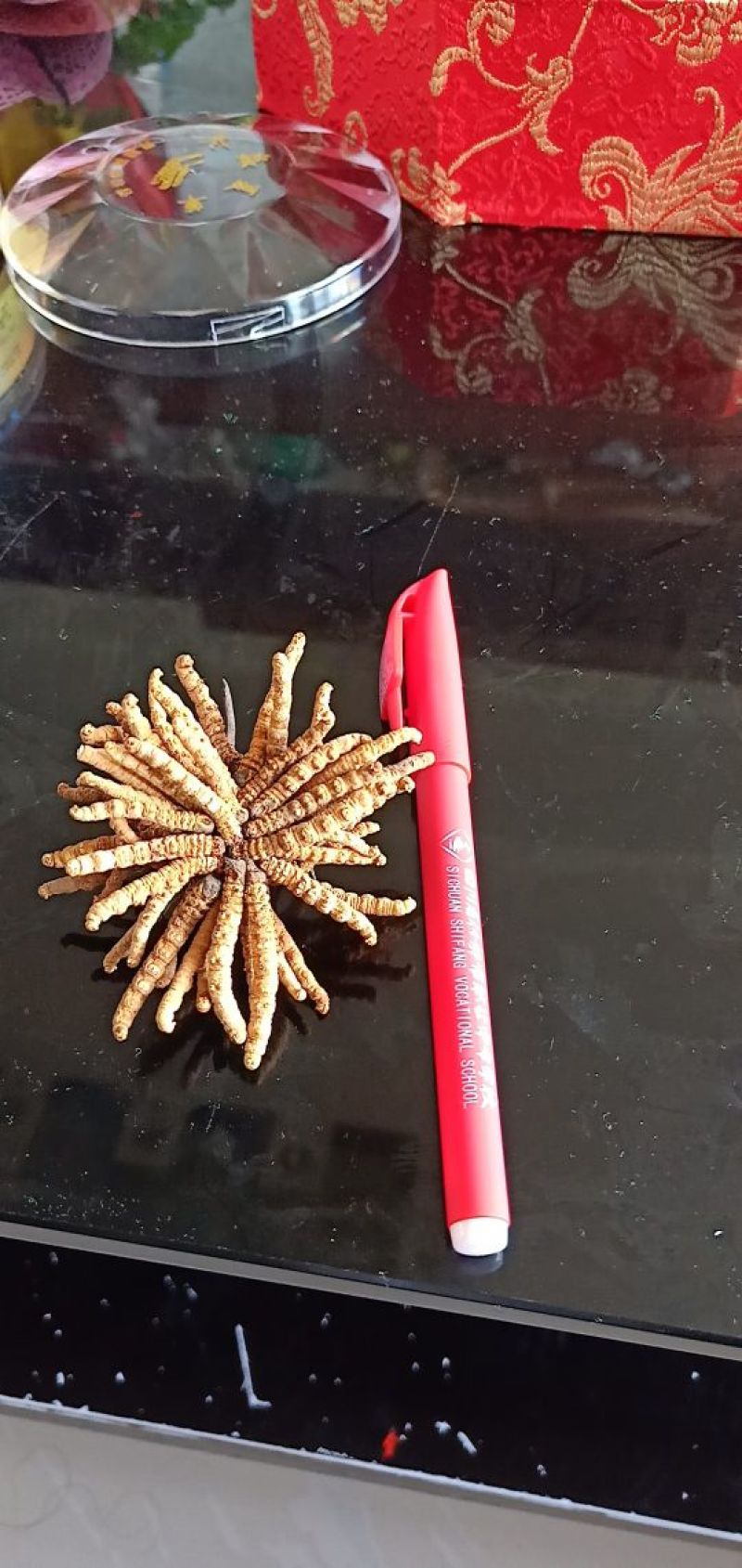冬虫夏草
