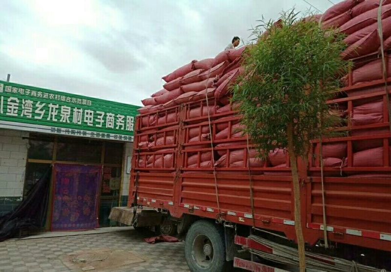 甘肃红花种植基地精选干净货源正品含量达标1斤起发甘肃红花