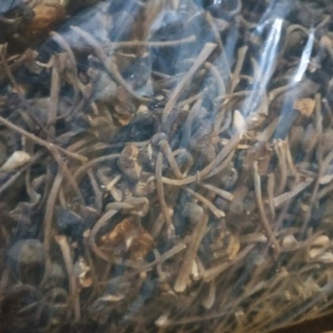 黑皮鸡枞干品