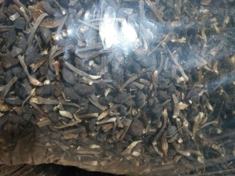 黑皮鸡枞干品