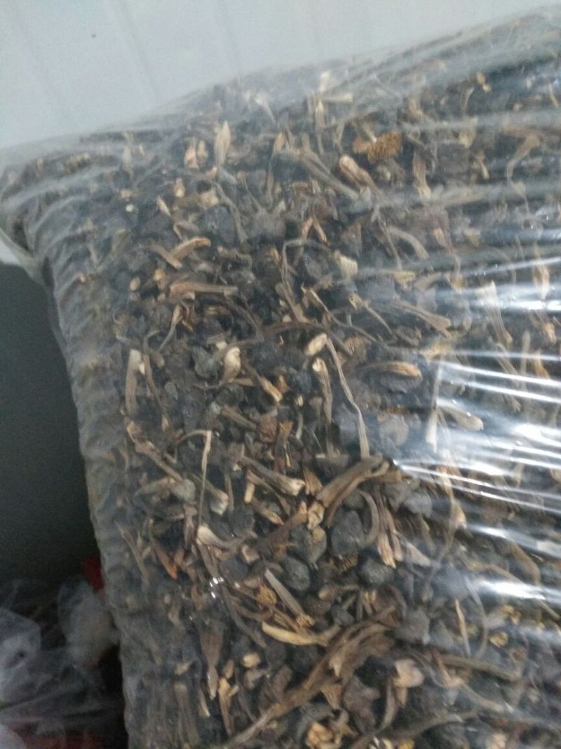 黑皮鸡枞干品