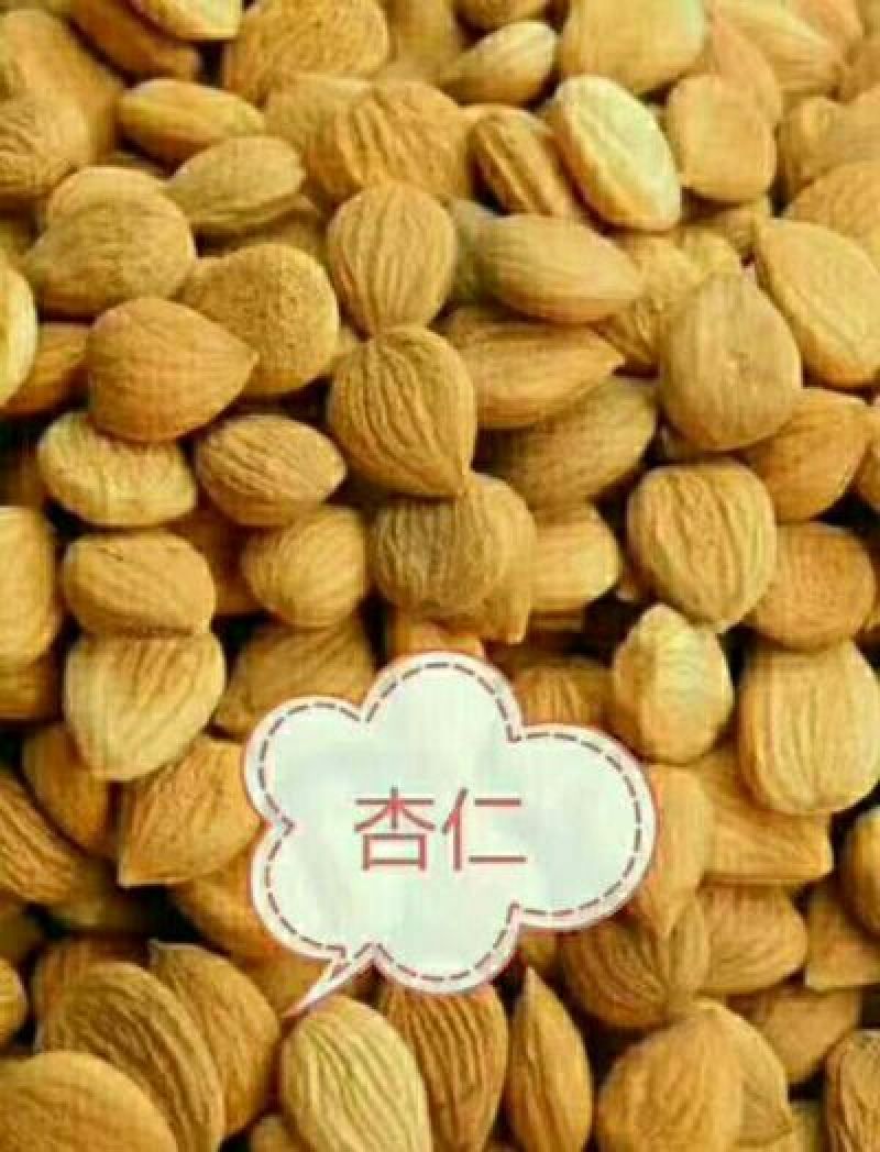 树上干杏