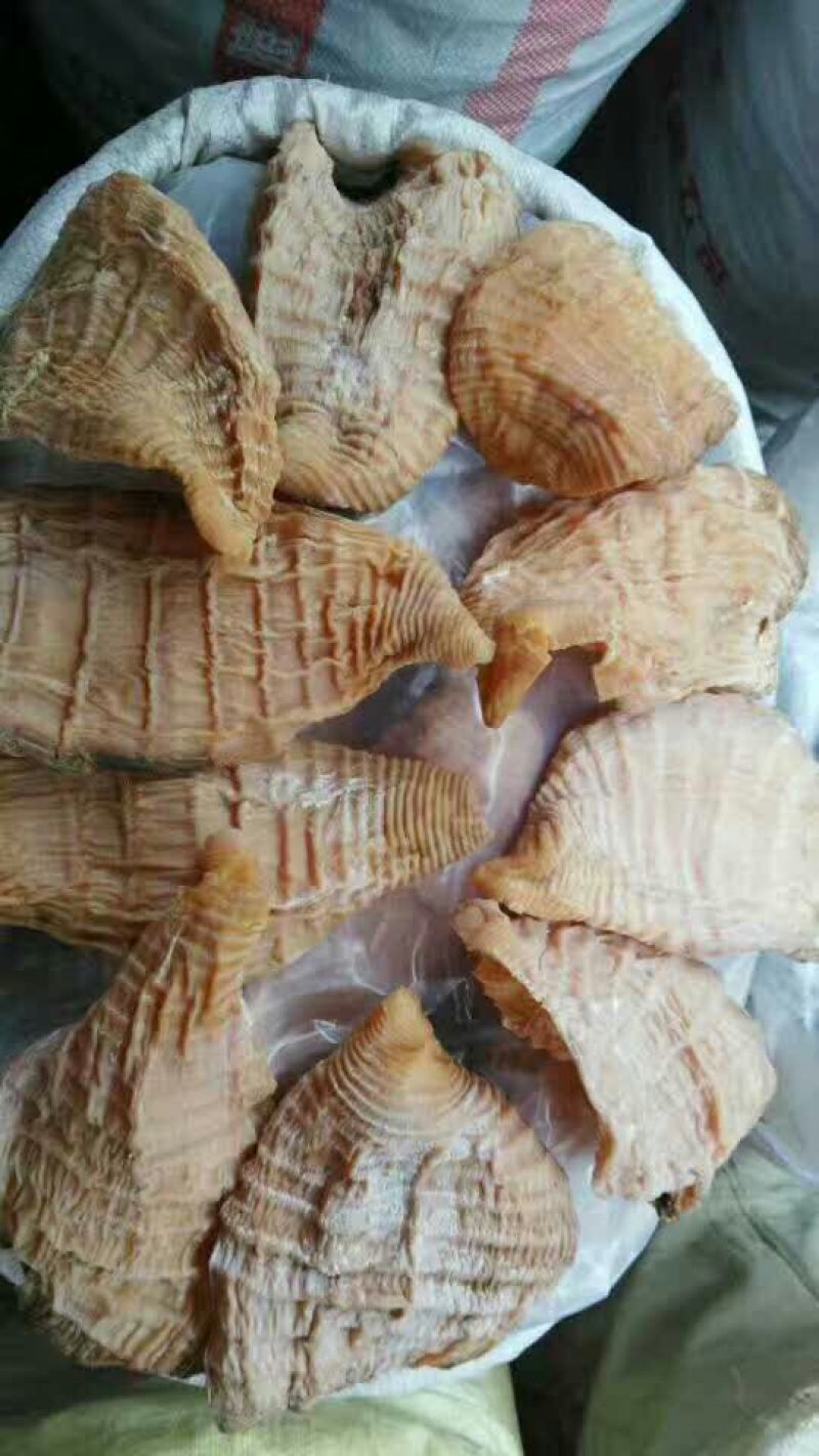 农家笋干小片白笋玉兰片厚片一件80斤