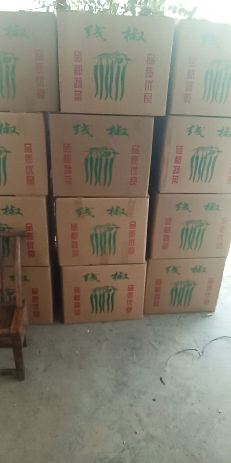 长线椒