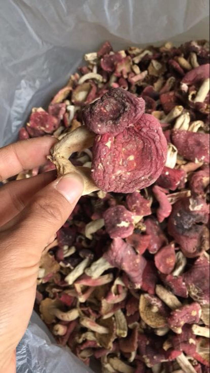 红菇0.01%1%特级5~8cm