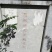 青花椒苗高产高抗寒抗锈病新品种青花椒改良嫁接苗