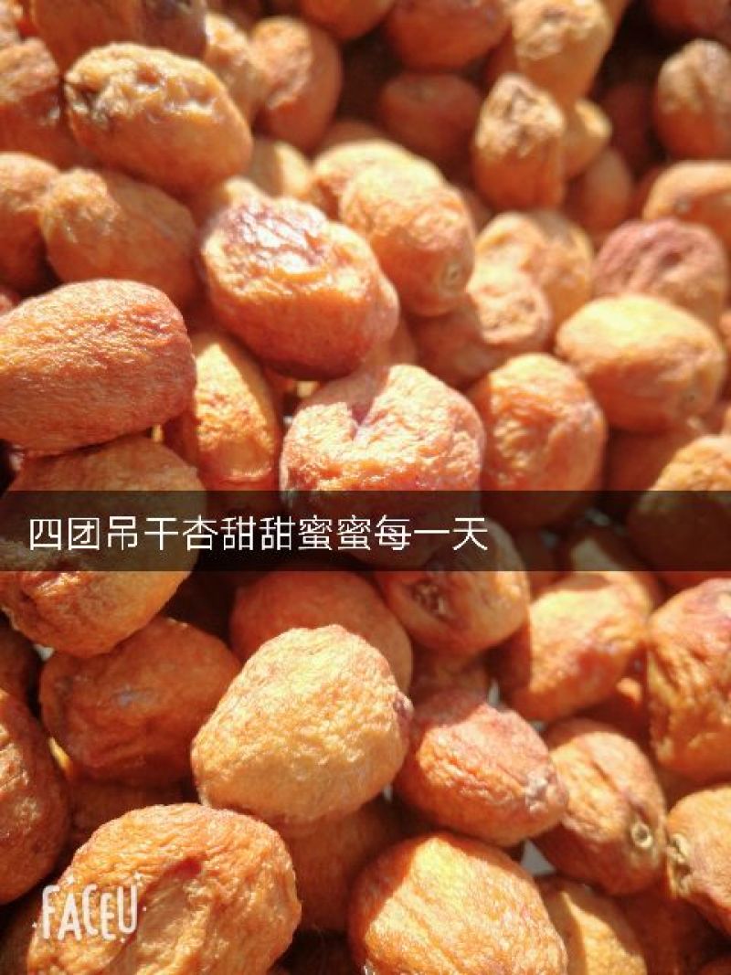 四团吊干杏