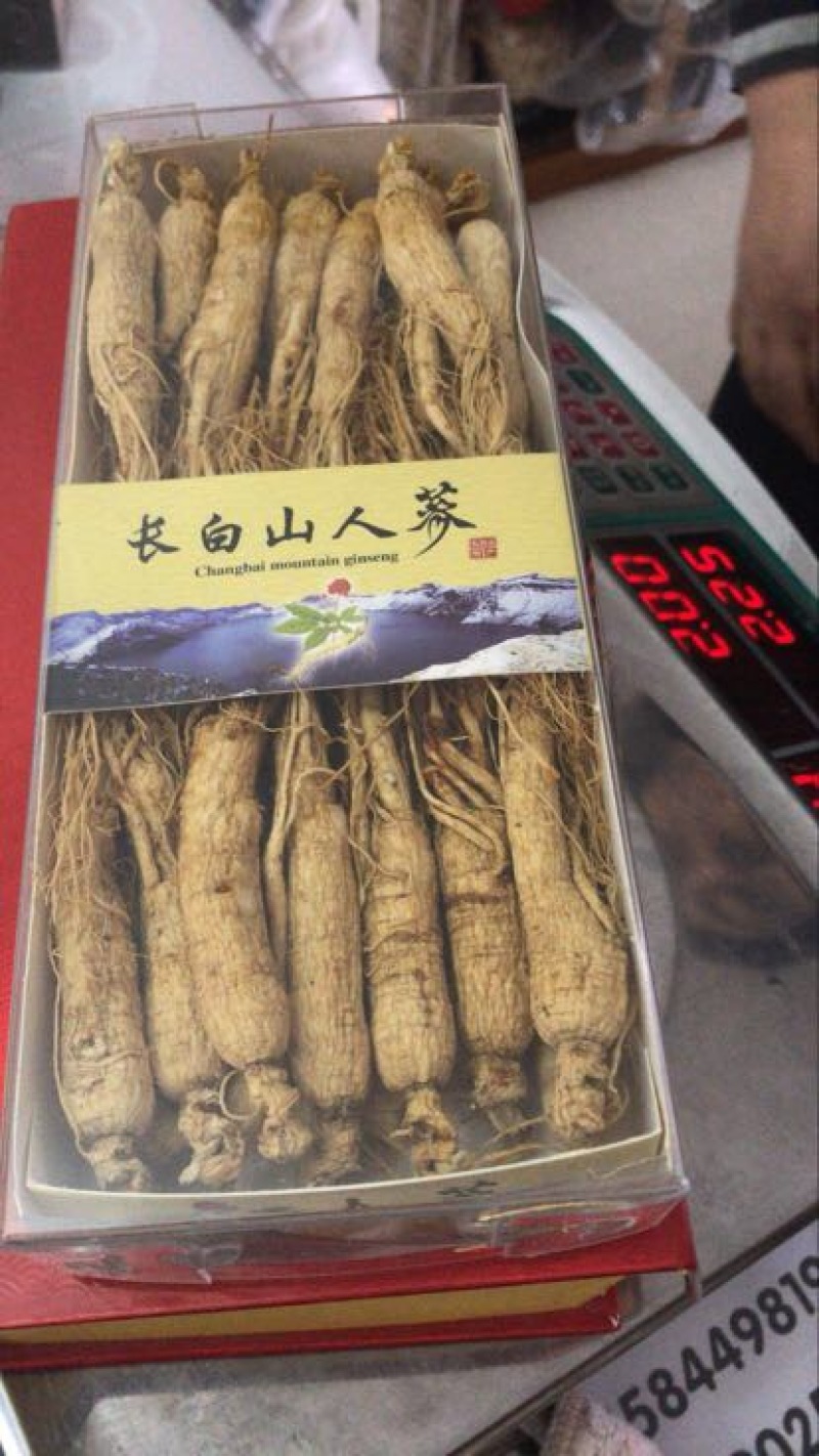 吉林人参干