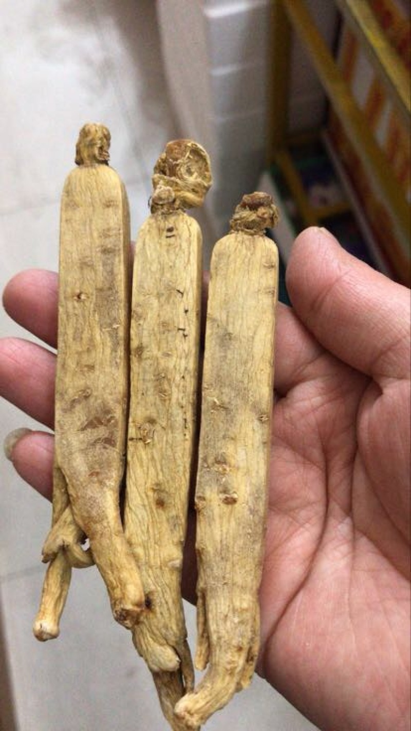 吉林人参干