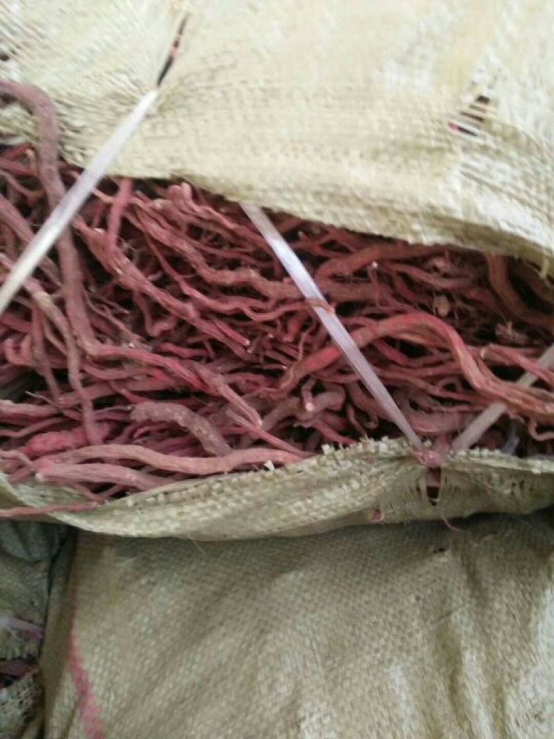 沂蒙山丹参统条