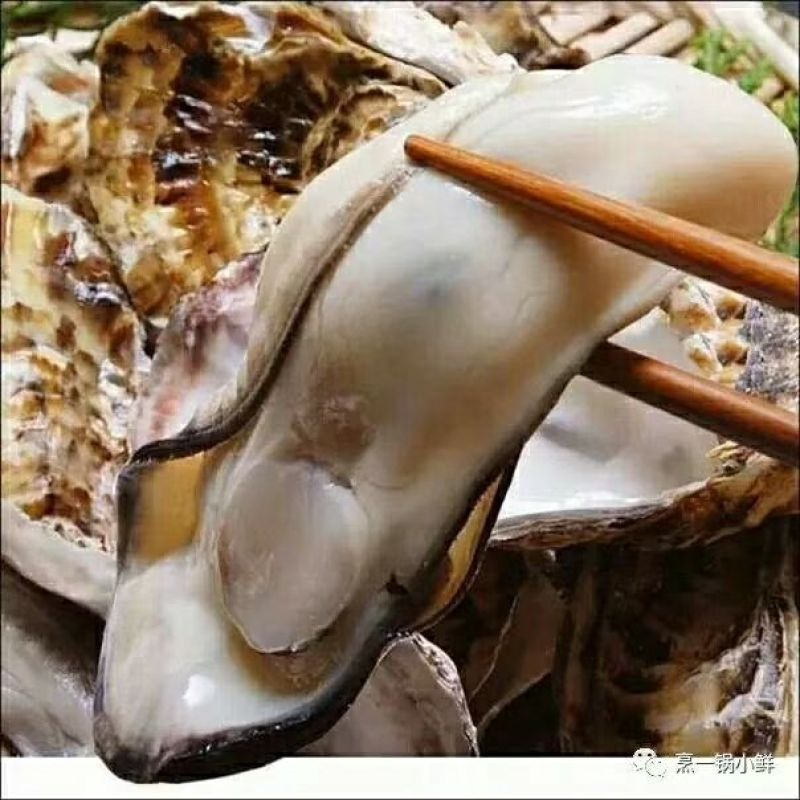 牡蛎