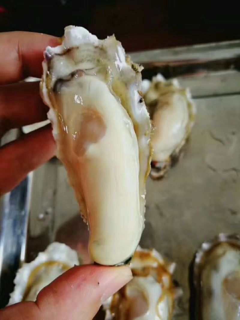 牡蛎