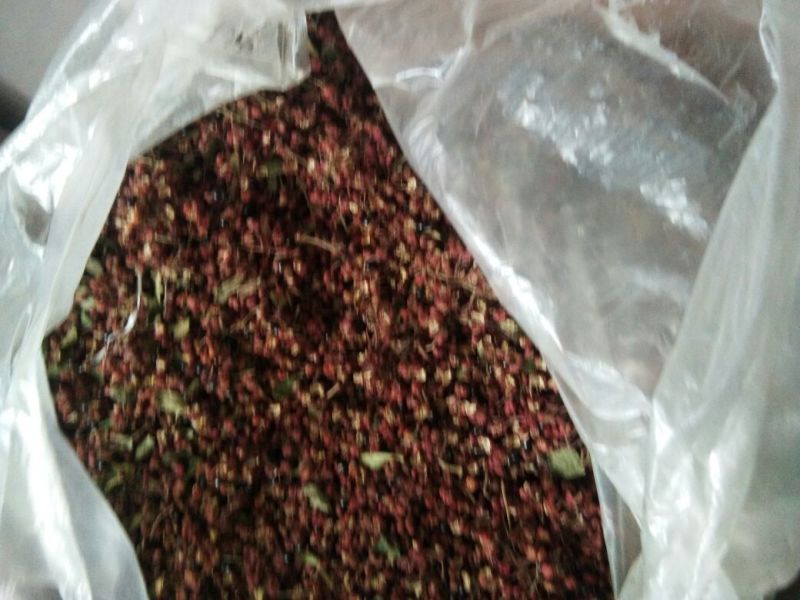 特级大红袍