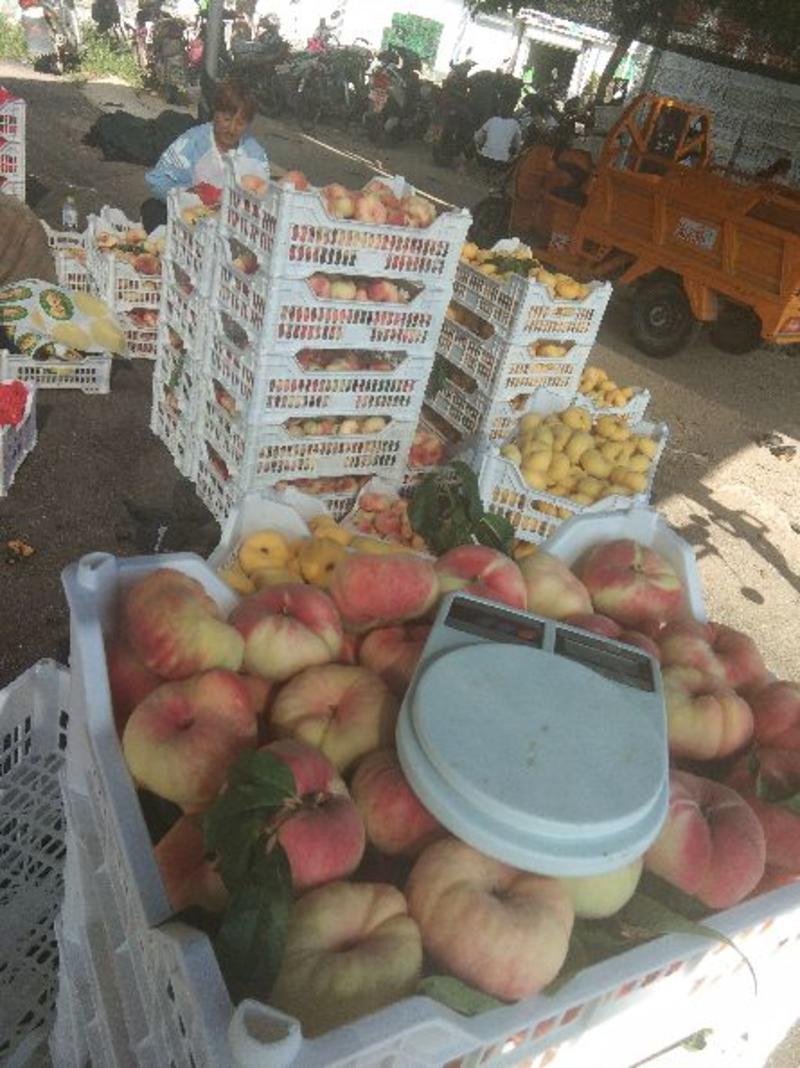 红盘桃，八月脆毛桃，大量上市