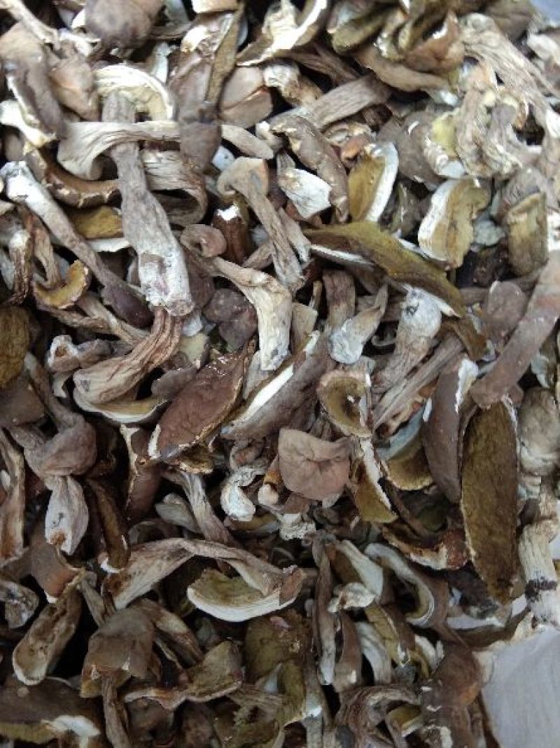 牛肝菌，牛肝菌干片，牛肝菌盐渍，大量产地直供，价格便宜