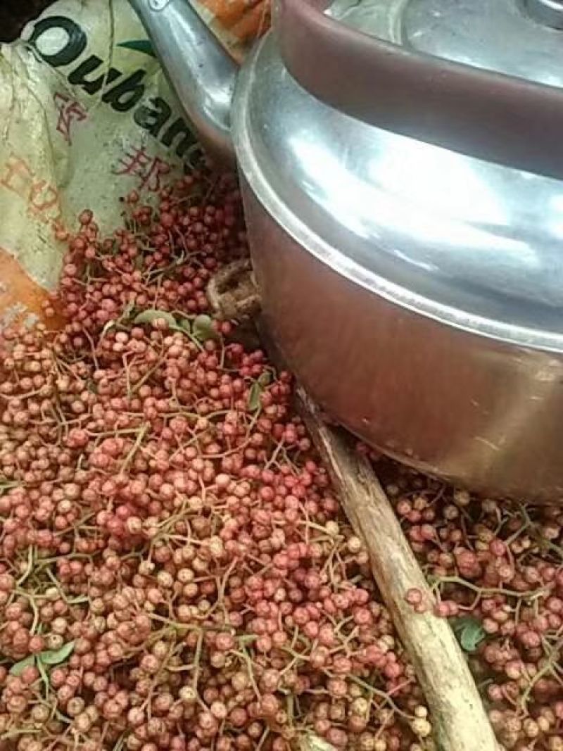 陕西花椒，大量上市