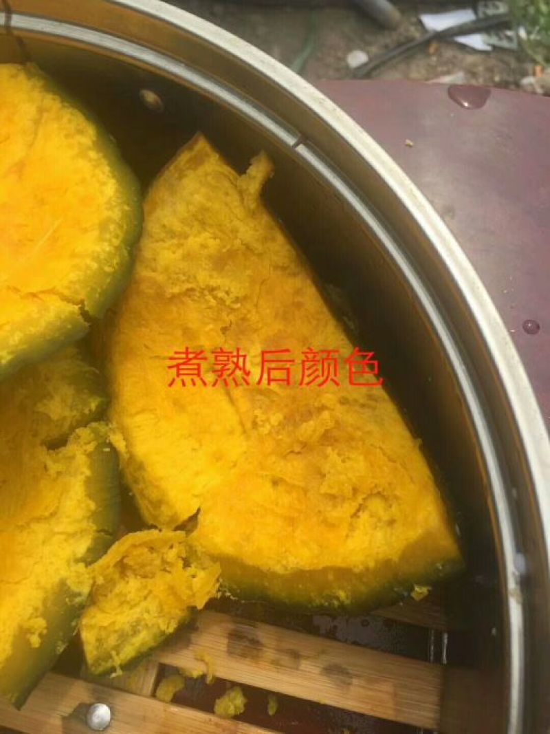 大量供应出口品质南瓜，质优价廉