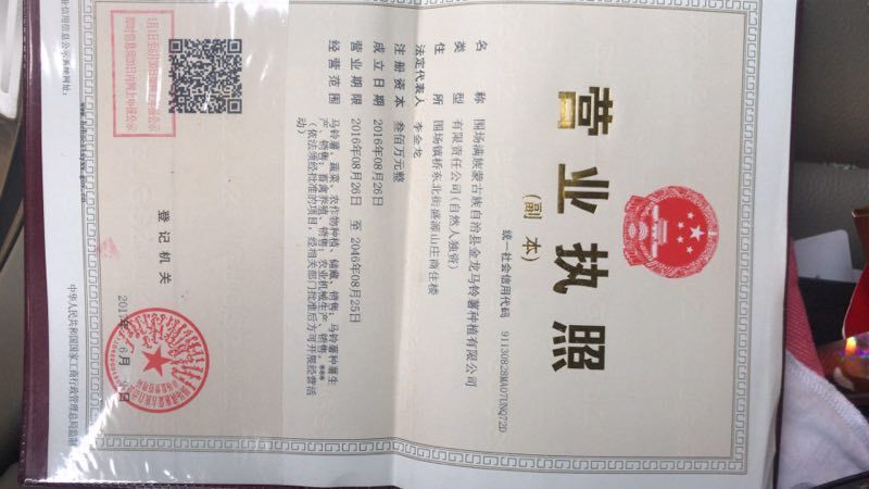 优质脱毒土豆种子原种，抗病强产量高，提供种植技术。