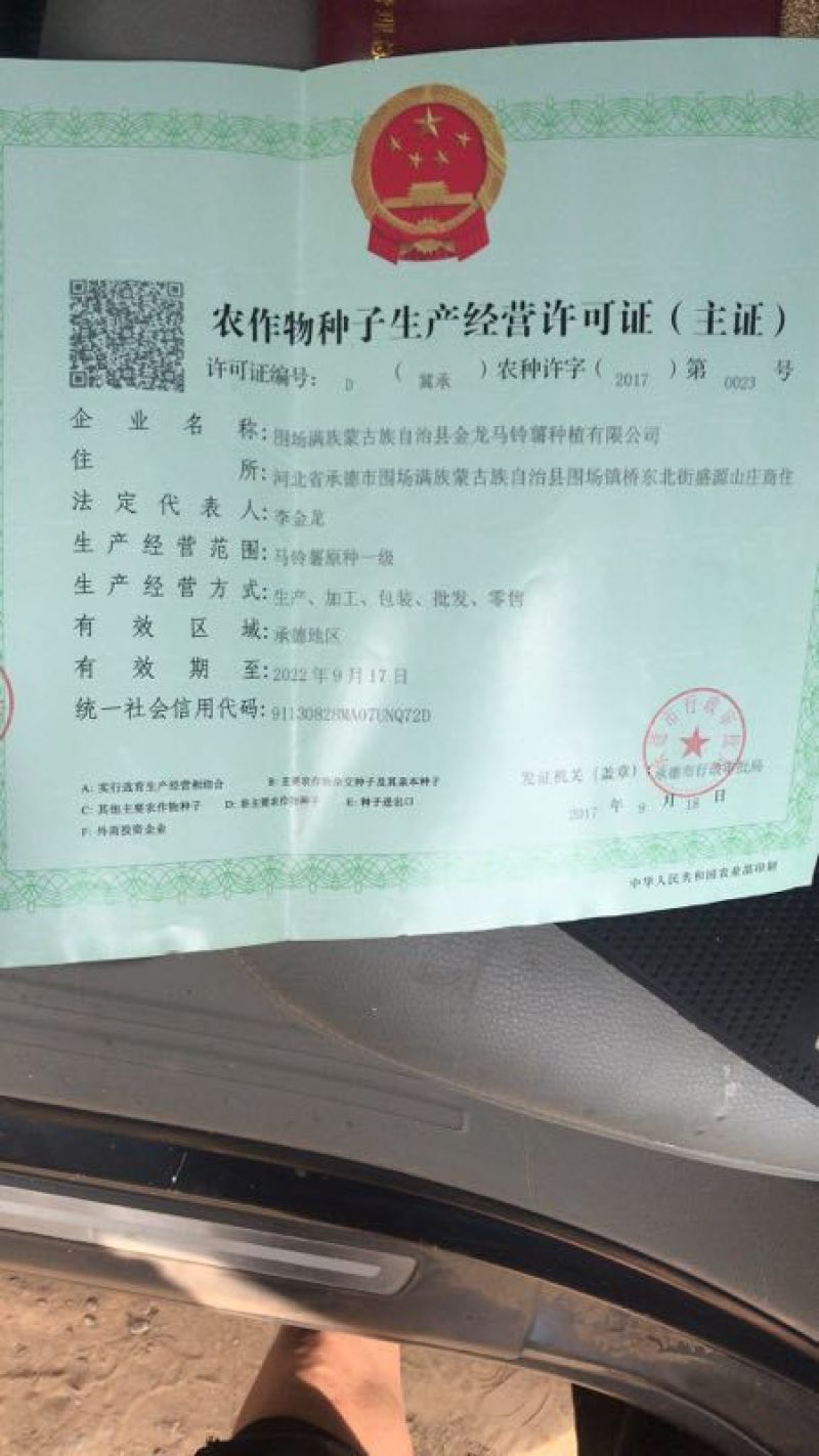 优质脱毒土豆种子抗病强产量高，结薯集中薯型好芽眼浅个头大