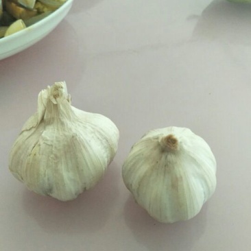 优质大蒜