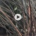 苦竹19~20m