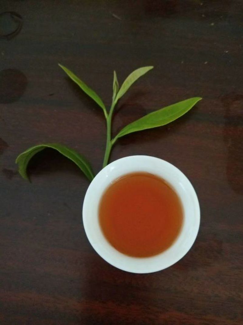 武夷山红茶肉桂