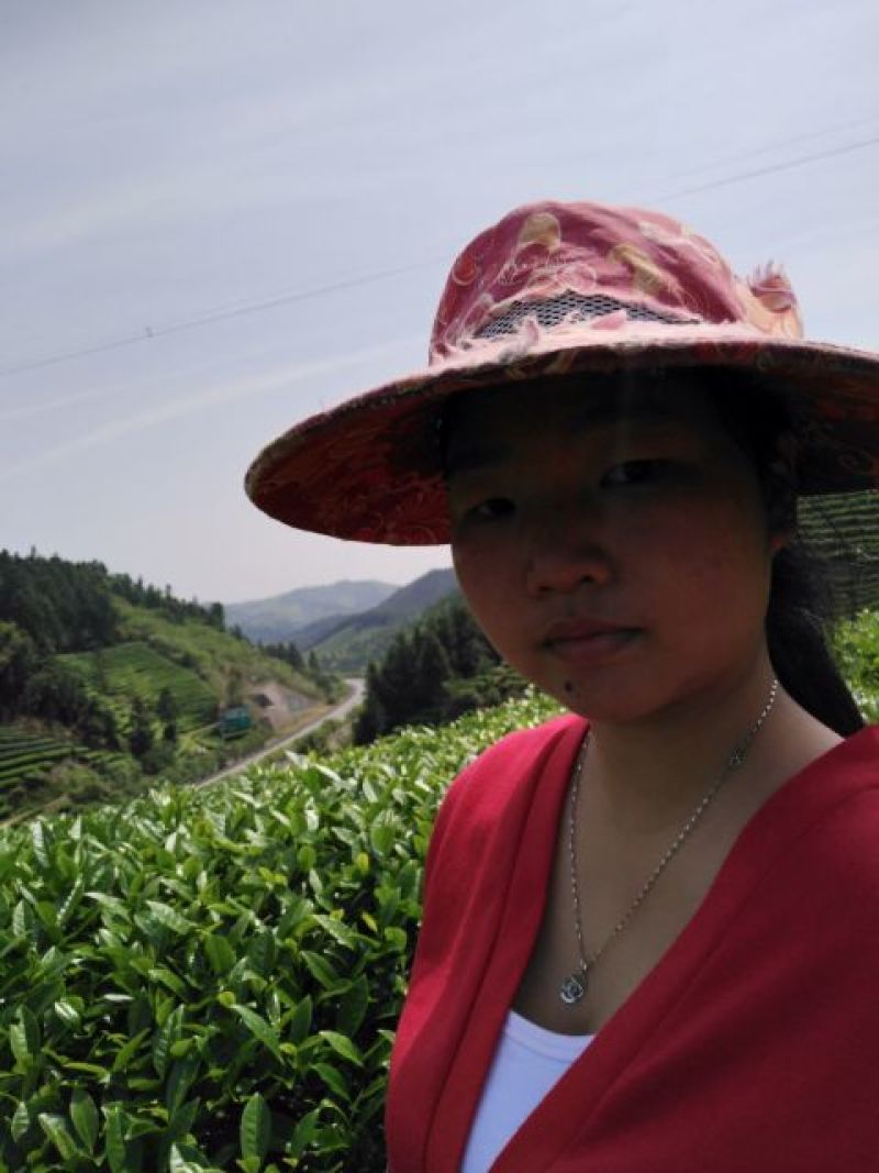 武夷山红茶肉桂
