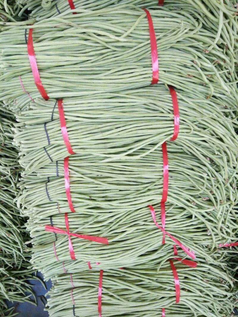 精品，长豆角
