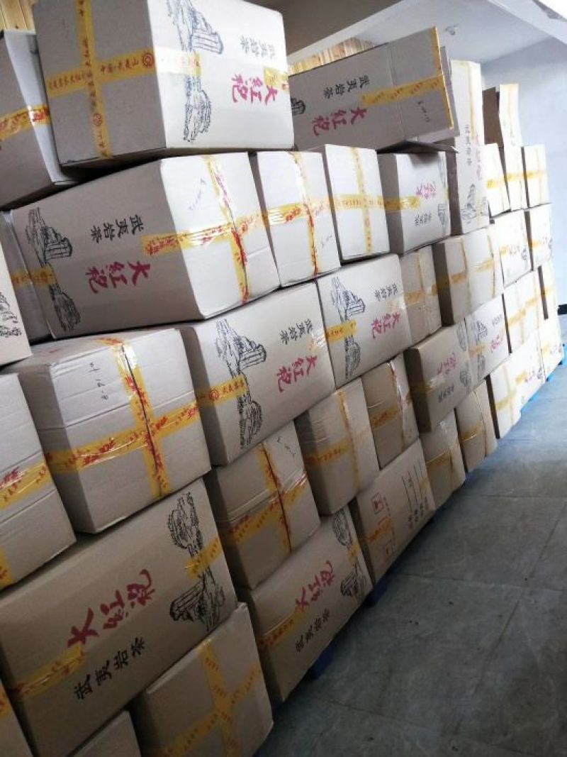 武夷山红茶水仙
