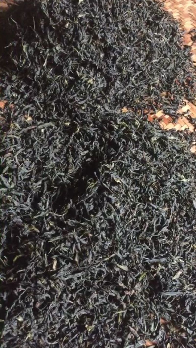 武夷山红茶水仙