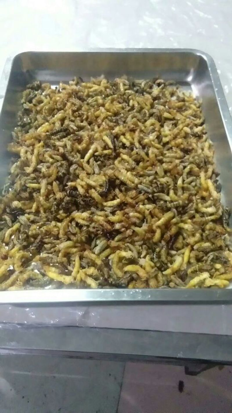 油炸野生蜂蛹