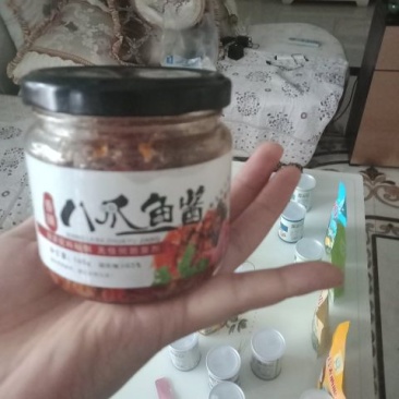 八爪鱼酱