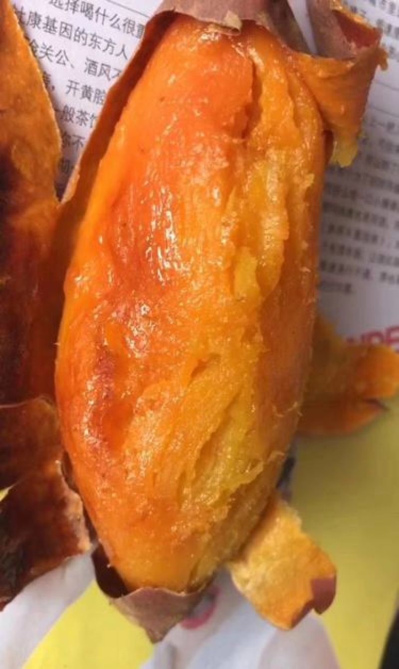 烟薯25，