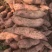 烟薯25，