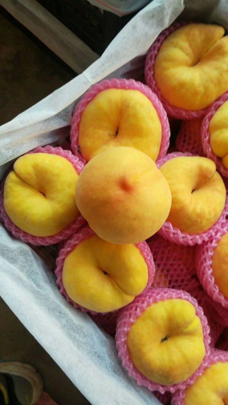 锦绣黄桃