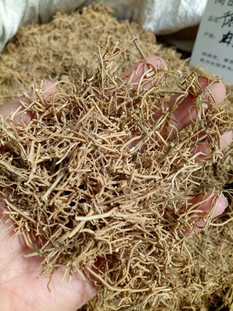 徐长卿干货无硫熏各种规格量大从优