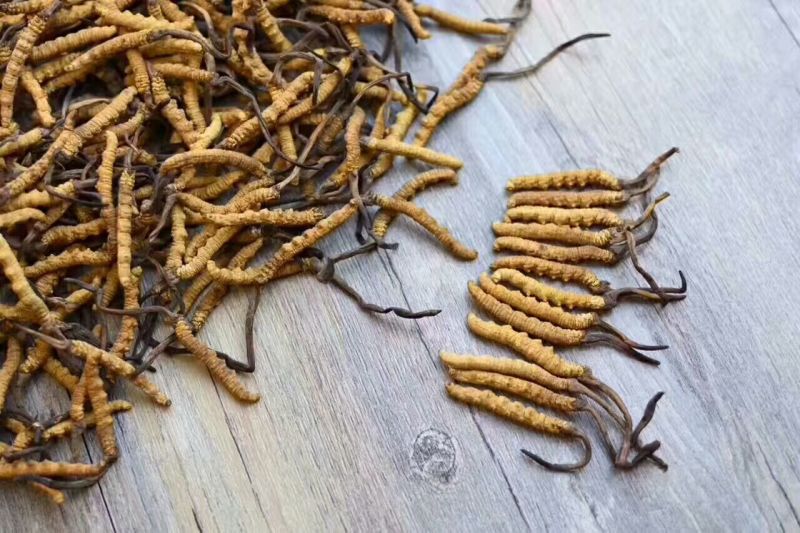 冬虫夏草散装干货各种规格10克起包邮