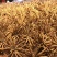 冬虫夏草散装干货各种规格10克起包邮